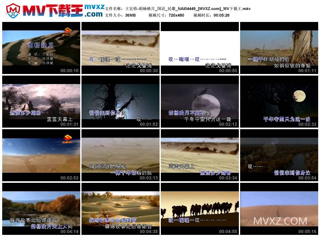 王宏伟-胡杨映月_国语_民歌_NAI04449